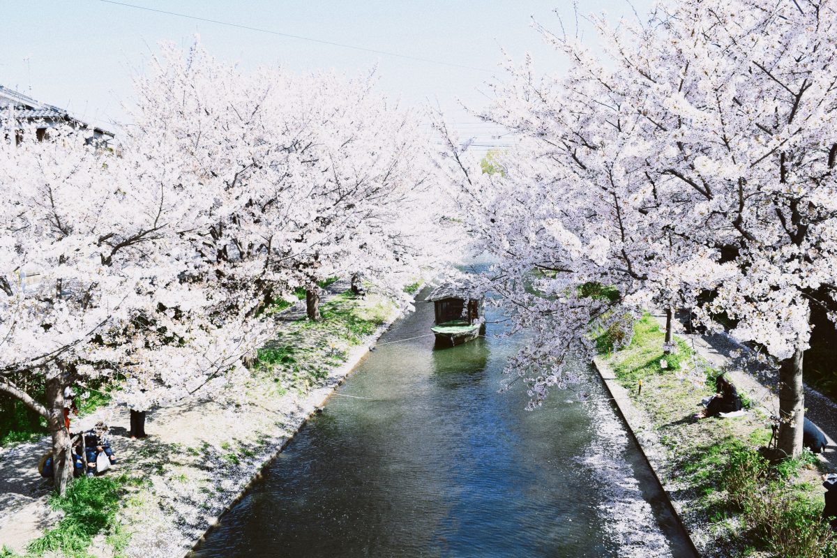 京都伏見の美しい景色 | アドストーリー