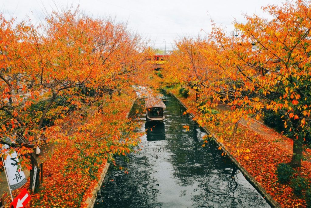 京都伏見の紅葉に包まれる美しい風景 | 株式会社アドストーリー